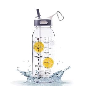 Portable Water Bottle with Straw for Camping & Hiking & Fitness (Color: As pic show, Type: Style B)